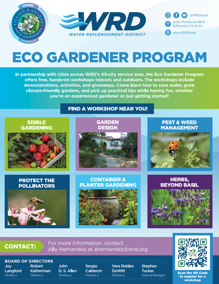 Screenshot 2026-02-05 124637